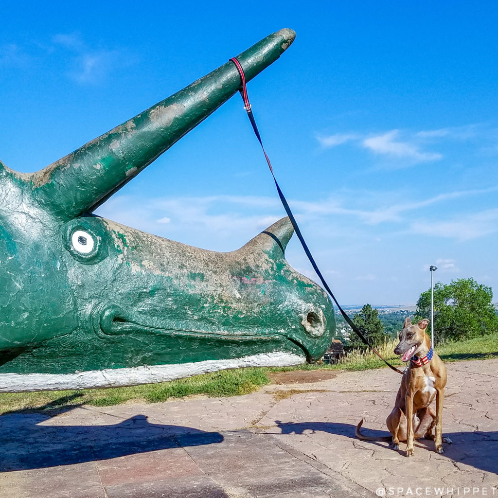 north dinosaur open space park